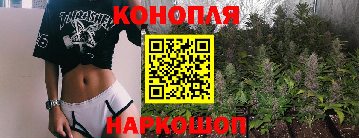 Канабис план Сланцы